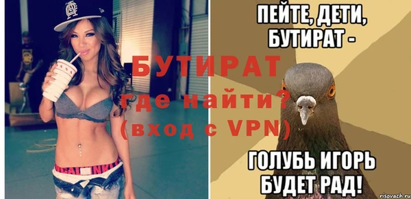 индика Елабуга