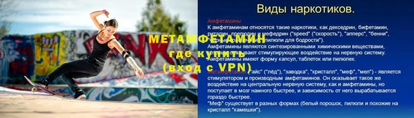 индика Елабуга