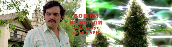 круглые Ельня