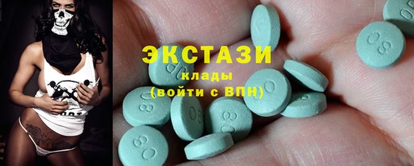 индика Елабуга