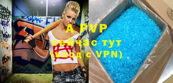 индика Елабуга