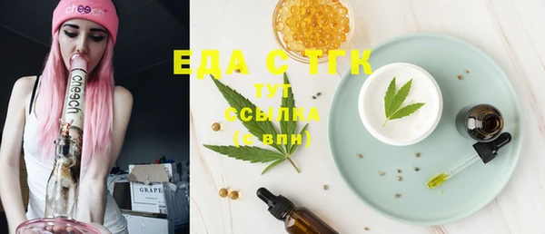 индика Елабуга