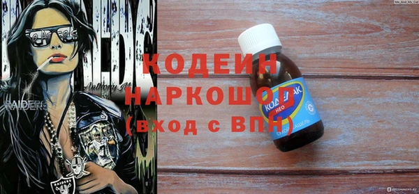 индика Елабуга