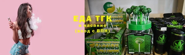 индика Елабуга