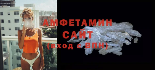 индика Елабуга