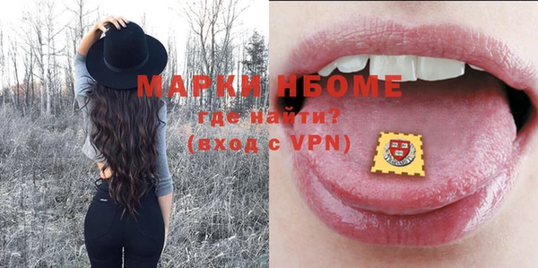 индика Елабуга