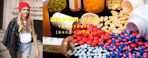 индика Елабуга