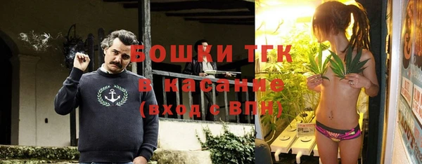 стафф Елизово