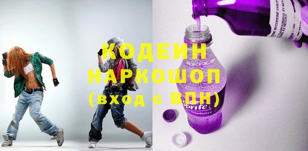 индика Елабуга