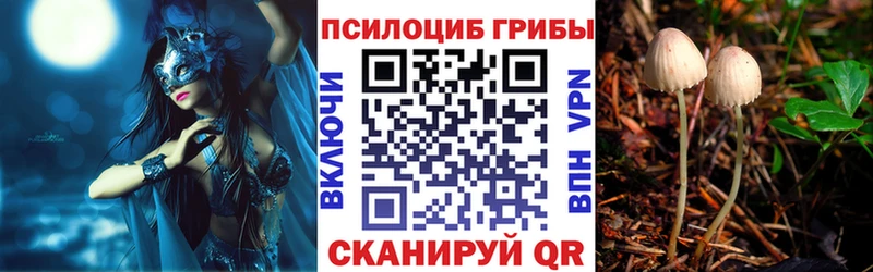 Галлюциногенные грибы MAGIC MUSHROOMS  kraken онион  Северск 